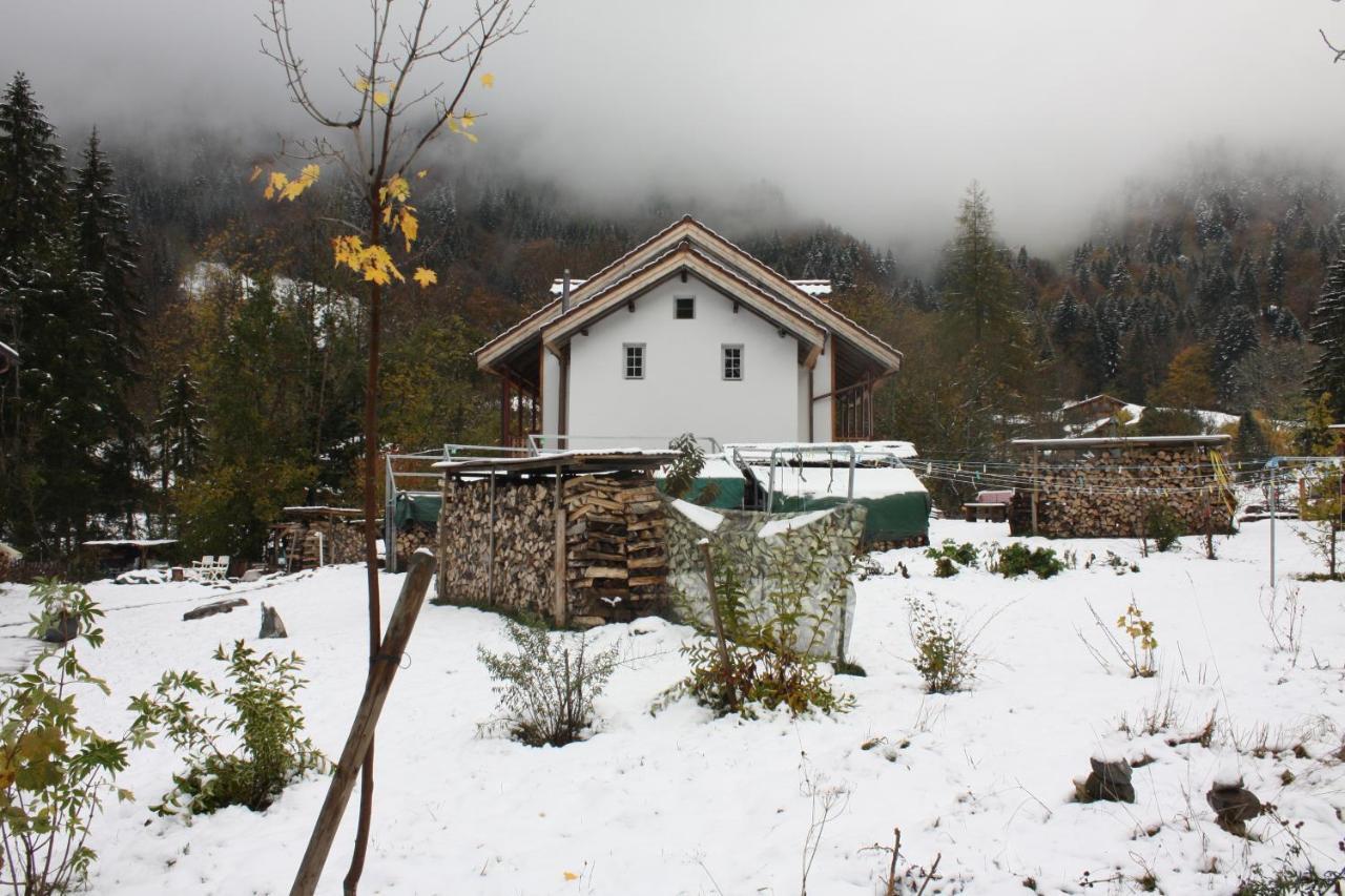 Riversong Centre Thermal Les Plans-sur-Bex Екстер'єр фото