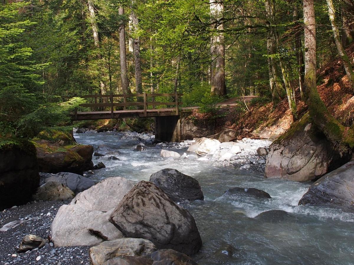 Riversong Centre Thermal Les Plans-sur-Bex Екстер'єр фото